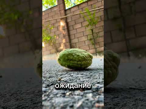 Тест реакция 😁 #мотивацияивдохновение #топ #осознанность #ожидание