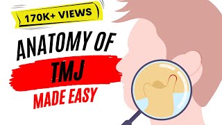 Anatomy of TMJ ( Temporomandibular joint )
