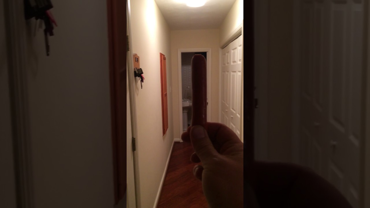 Hot Dog Down A Hallway! YouTube
