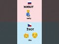 False friends in Russian 🇷🇺 and Czech 🇨🇿