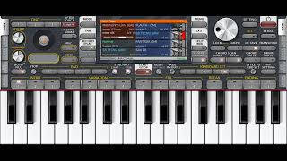 Solos Natanzinho Lima No Org 2025