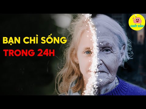 Video Điều Gì Xảy Ra Nếu Cả Cuộc Đời Bạn Chỉ Diễn Ra Trong... - youtube