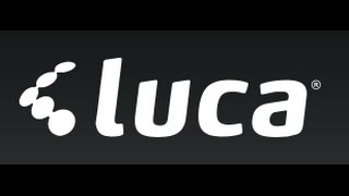 Luca - 1. Sınıf (Bilanço) Yıllık Gelir Vergisi Beyannamesi Hazırlanması