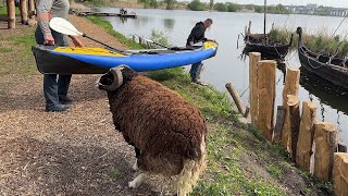 Укріплюємо берег біля майстерні, тварини пасуться, життя кипить