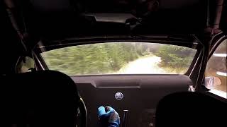 Stage 6 Hurlie Bog Grampian Rally (HUGE MOMENT HITTING TREE) - Drivers Cut