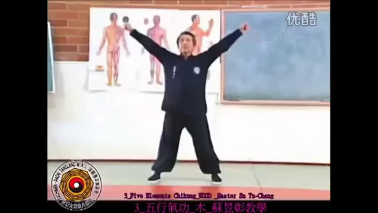 蘇昱彰五行氣功
