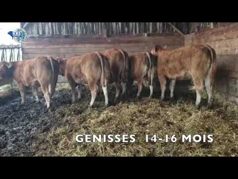 GENISSES A VENDRE_2