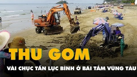 Vài chục tấn lục bình tấp vào bãi tắm ở Vũng Tàu mỗi ngày, rác từ đâu ra?