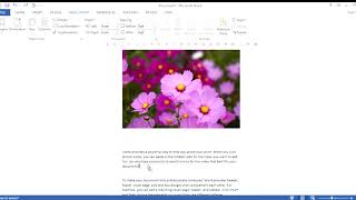 MS Word - Exercise 4