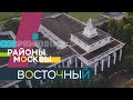 Восточный: Дом культуры «Восток», иппотерапия и Южный сквер