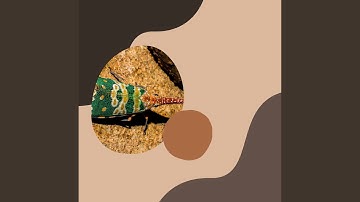 High-class Moods for Sweet December