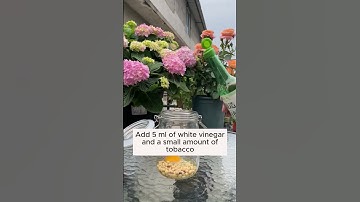 How to add phosphorus to plants? #gardeninggoals #gardeningistherapy