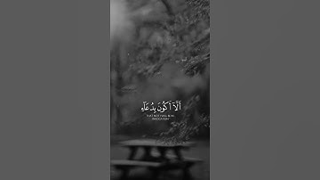 قرآن كريم بصوت خاشع ❤🌿 القارئ وديع اليمنى | حالات واتس اب دينية قصيرة 🎧💙