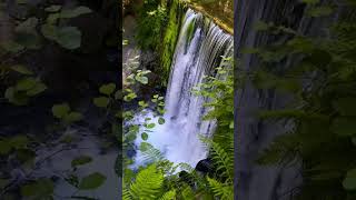 #galicia #galiciacalidade #agua #waterfall #water #river ##wildlife #photography #photooftheday