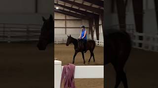 I have a better bareback trot than with a saddle🤭 #trot #horse #equestrian #chronicillness