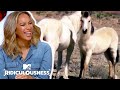 Leona Lewis Is A Horse Girl | Ridiculousness