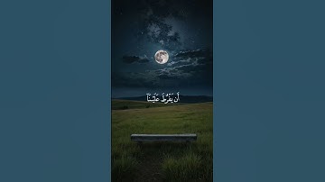 راحة قلبك تبدأ من هنا... استمع لآيات من كلام الله واملأ يومك بنور القرآن  #قرآن #تدبر #طمأنينة