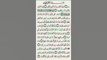 سورة الجاثية تلاوة خاشعة