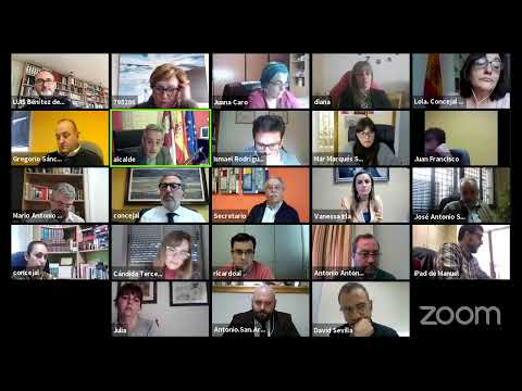 Pleno extraordinario de 22 de enero de 2021