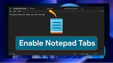 How To Enable Notepad Tabs on Windows 11 and Open Multiple Text Files in The Same Window