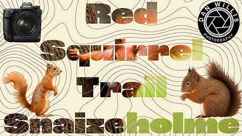 Red Squirrel Trail Snaizeholme