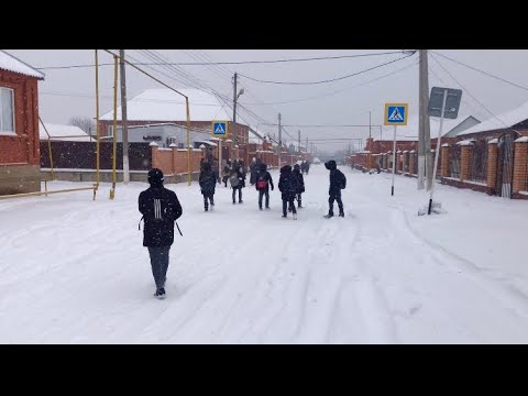 Дачу-Борзой | Зима