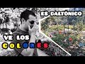 LE REGALO LAS GAFAS PARA DALTÓNICOS A MI HERMANO | SOMOS DALTÓNICOS