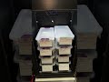 Ball Python Incubator Update!