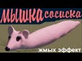 МЫШКА-СОСИСКА ВСЕ ВИДЫ