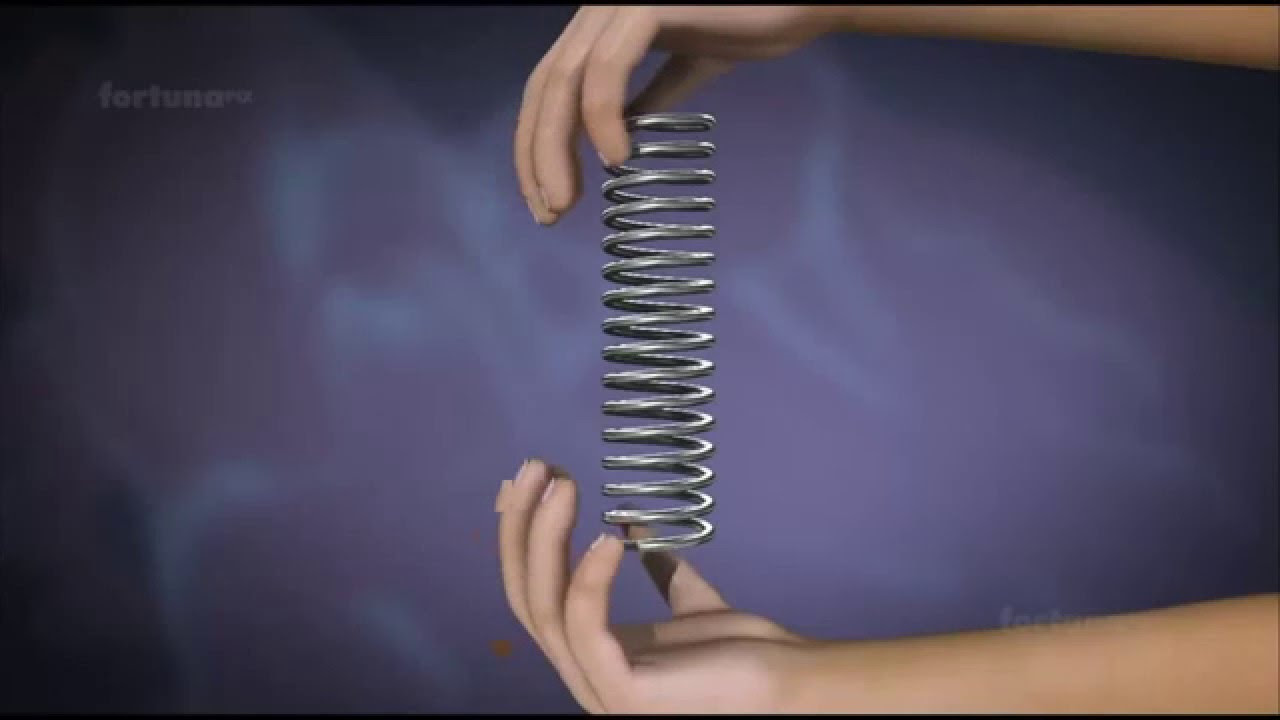 Elastic Potential Energy
