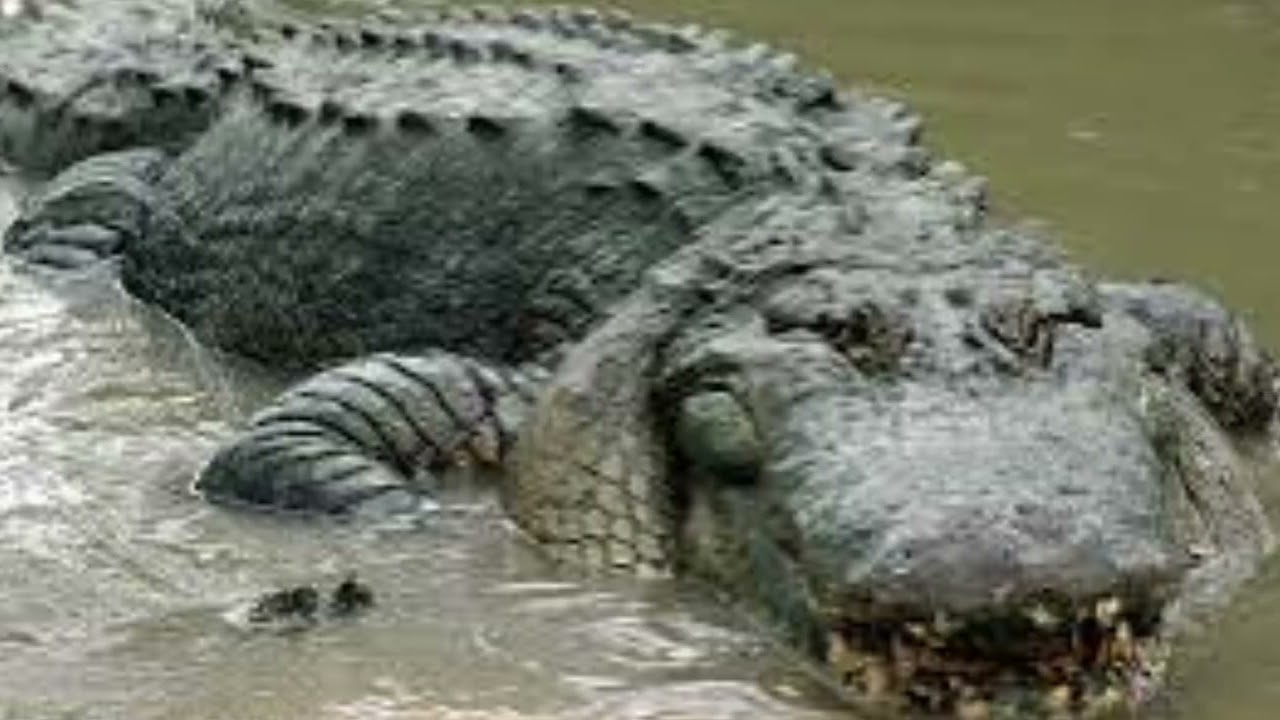 SWMO Wild Game Feed 2024