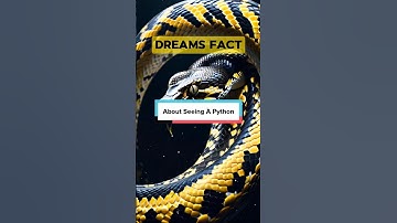 Dream about Python 👈 #shorts