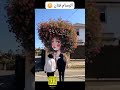 مبدع فنان 