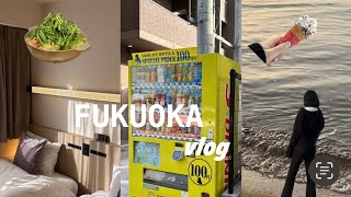 [후쿠오카 여행 vlog.1/프레지던트 호텔 하카타/모모치 해변/모츠나베/돈키호테]