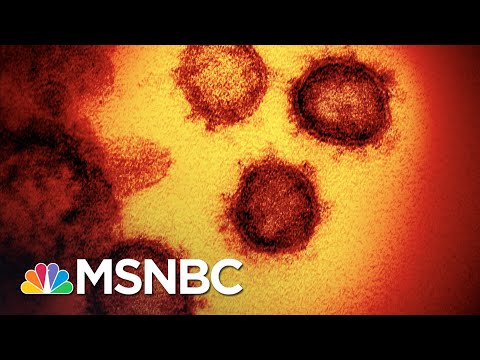 ‘Ridiculous And Dangerous’ To Think The Coronavirus Is Behind Us | The 11th Hour | MSNBC