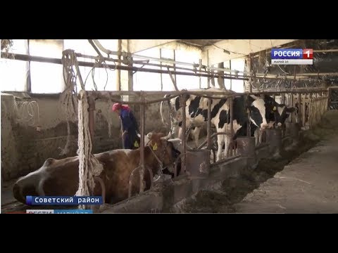 Начинающий фермер грант 2023