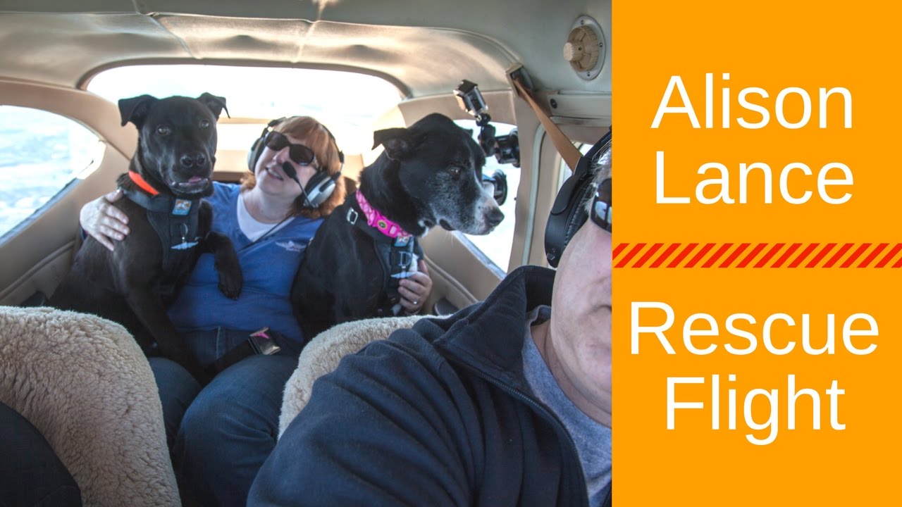 Alison and Lance Dog Rescue Flight - YouTube