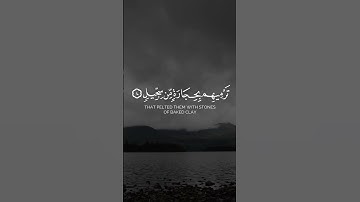 ألم تر كيف فعل ربك بأصحاب الفيل | ياسر الدوسري | سورة الفيل