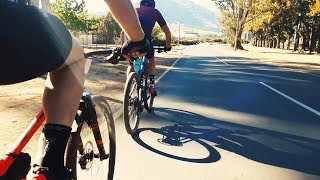 Stellies Bound