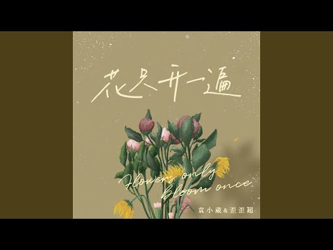 花只开一遍 (伴奏)