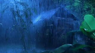 Tranquil Rainfall Symphony: 3 Hours of Relaxing Rain Sounds for Meditation, Study and Peaceful Sleep