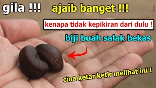 AFTER WATCHING THIS EVERYONE IS IMMEDIATELY LOOKING FOR USED SALAK SEEDS