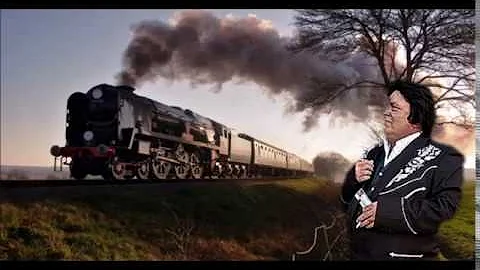 Johnny Cash Tribute Artist - Carl Poe