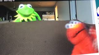 Kermit the Frog and Elmo play hide and seek