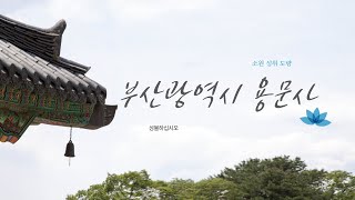 부산광역시 대한불교 선교종 용문사 준제보살 미륵보살  도명존자 무득귀왕 점안법회 241102(토)