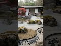 From Raw Earth to Ryokan Zen.