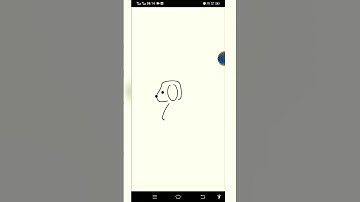 draw a dog|✓™🔥using ✓™🔥python turtle |~