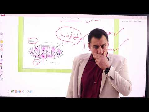 انشطار الجلوكوز ودورة كربس وسلسلة نقل الالكترونات