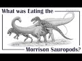 What was eating the morrison sauropods