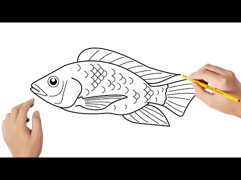Vídeo: Como Desenhar Um Bagre
